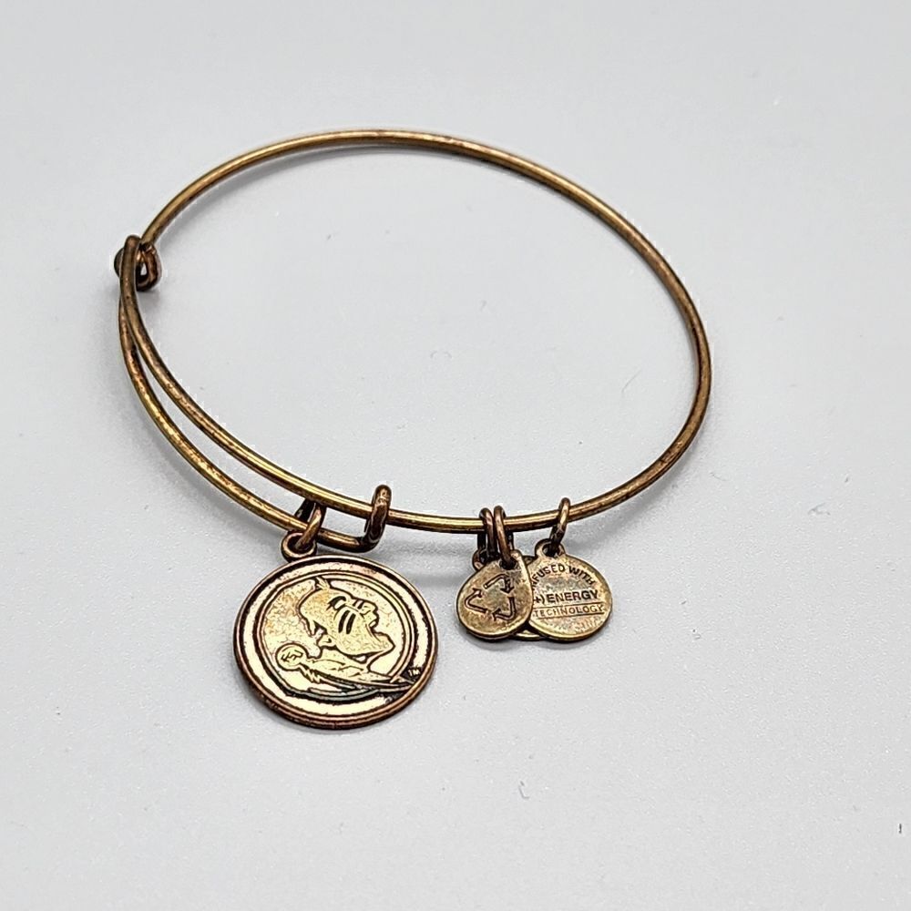Alex and ani bracelet